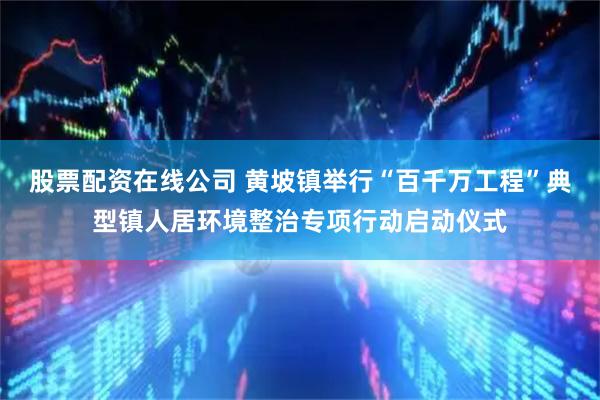 股票配资在线公司 黄坡镇举行“百千万工程”典型镇人居环境整治专项行动启动仪式