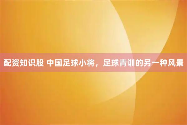 配资知识股 中国足球小将，足球青训的另一种风景